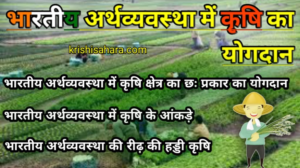 भारतीय कृषि अर्थव्यवस्था