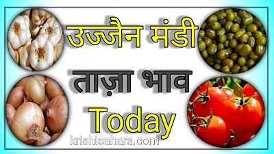 उज्जैन-मंडी-भाव - ujjain mandi bhav today